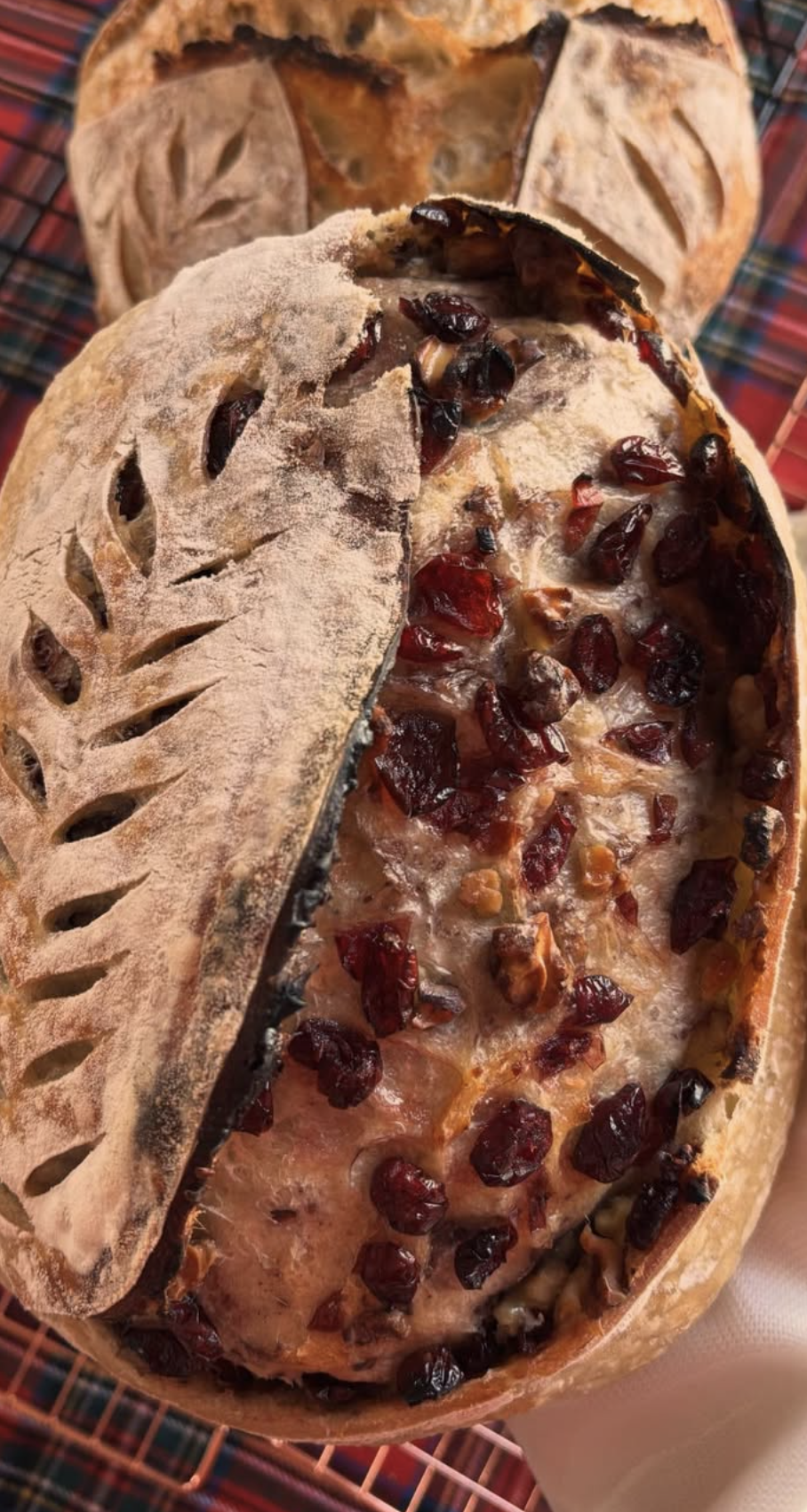 Loaves with Lyss gallery 8